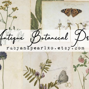 Antieke botanische collectie - 21 afbeeldingen van hoge kwaliteit - Digitale download - Antieke papieren - Printables voor journaling en kunst