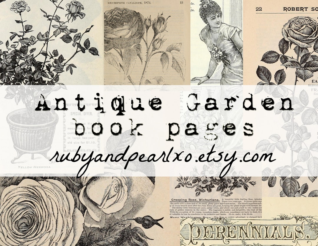 Antique Garden Book Pages Collection Digital Download Antique