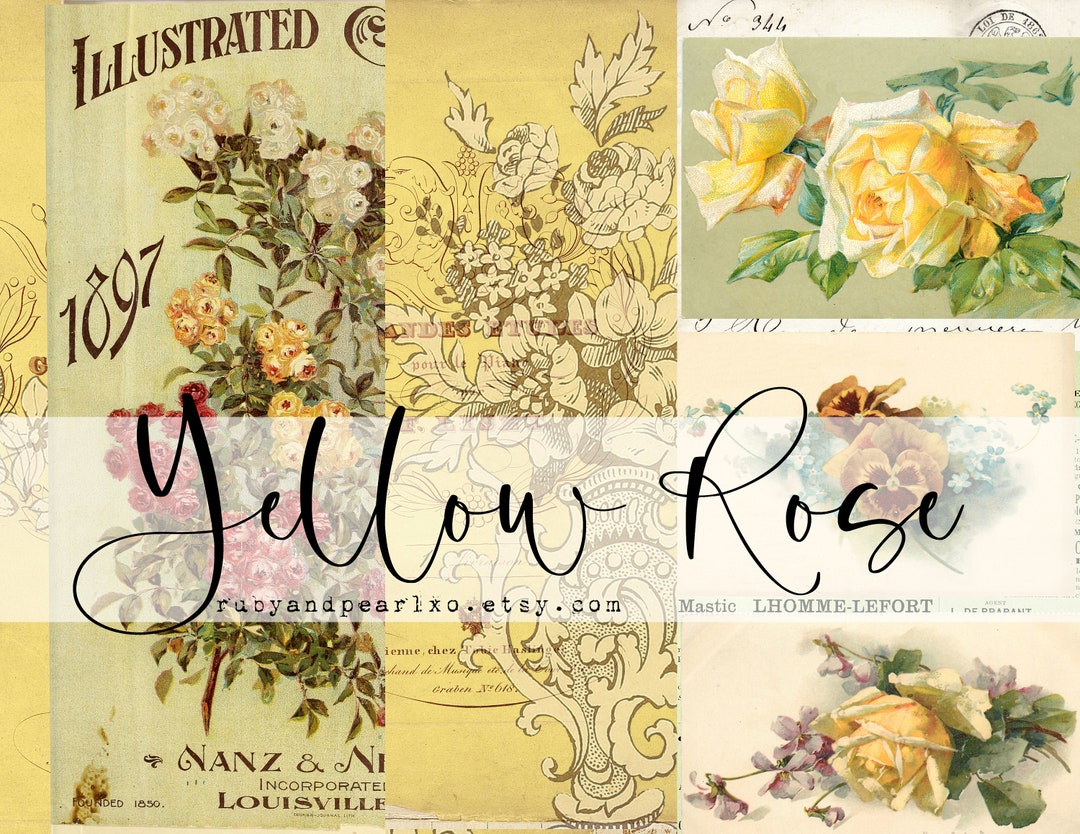 Yellow Roses To Print Yellow Rose - Vintage Printable Collection - Digital Download - Antique ...