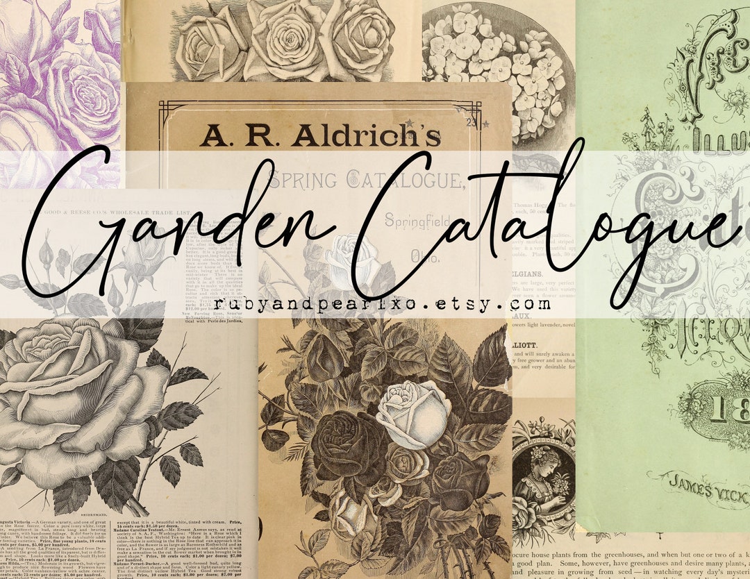 Garden Catalogue Collection 53 Images Digital Download Antique