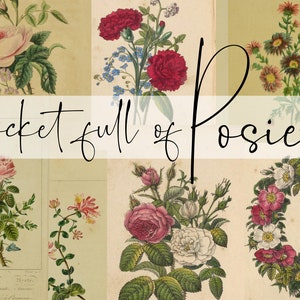Pocket full of Posies Collection - 24 Images - Digital Download - Antique Papers  - Printables for Journaling and Art