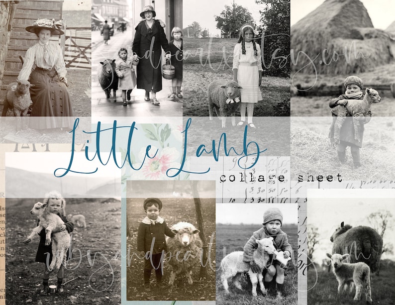 Op de afbeelding: Een collageblad met de titel "Little Lamb" en afbeeldingen van kinderen die lammetjes vasthouden. De afbeeldingen zijn in zwart-wit en hebben een vintage uitstraling.