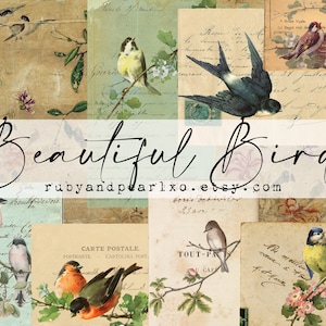 Beautiful Birds Collection - Descarga digital - Postales antiguas y efímeras - Imprimibles para diario y arte