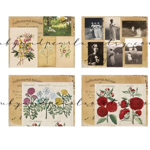 May include: A collection of vintage-style botanical and portrait prints. The prints feature floral illustrations in various colors, including pink, yellow, and red, alongside sepia-toned photographs of people.
