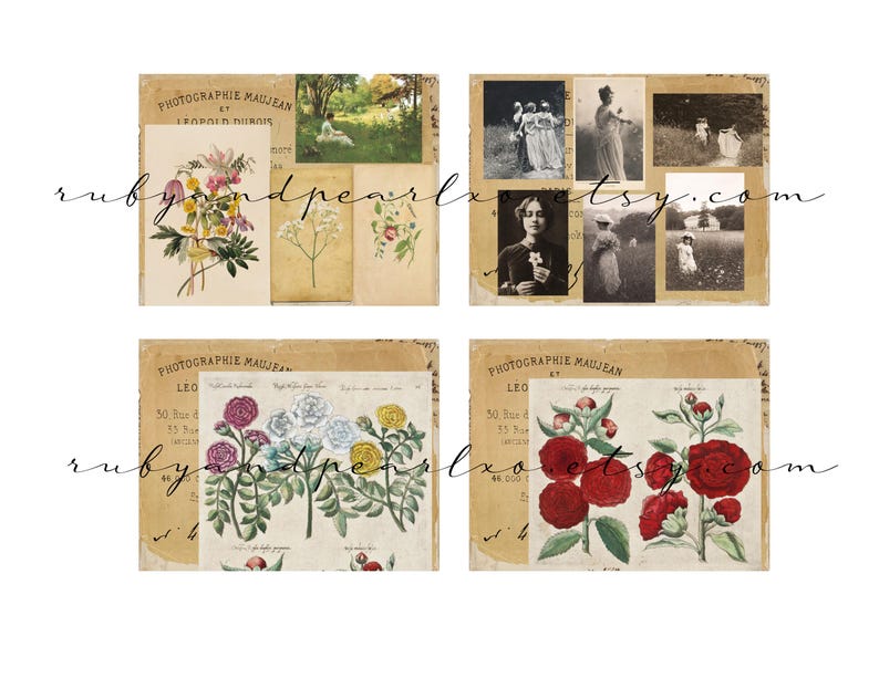 May include: A collection of vintage-style botanical and portrait prints. The prints feature floral illustrations in various colors, including pink, yellow, and red, alongside sepia-toned photographs of people.