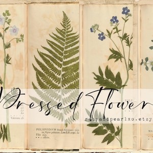 Gepresste Blumen - Vintage druckbare Sammlung - digitaler Download - antike Papiere - Collage für Journaling und Kunst
