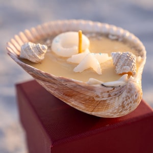 Ocean Dream Candle – Handmade Shell Candle with Starfish & Seashells | Coastal Decor | Beach Gift for Her | Mermaid Aesthetic