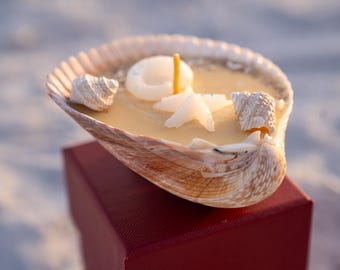 Muschelkerze – Handgefertigte Bienenwachskerze mit Seesternen