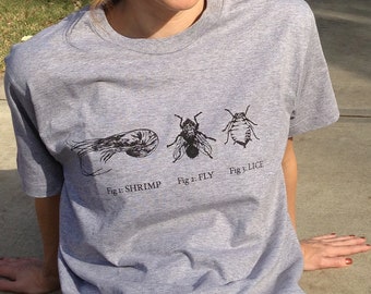 ETSY EXCLUSIVE!  Shrimp Fly Lice (women's) Chinese humor - Asian t-shirt - funny tees - foodie humor