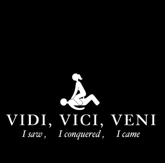 1 LEFT Vidi Vici Veni men's Humor T-shirt -  Israel