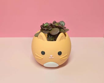 Cat Succulent Planter | Kitty Plant Pot