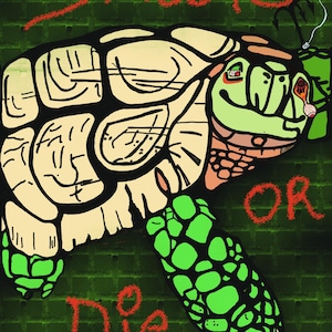 Digital art Mr turtle skateboard art