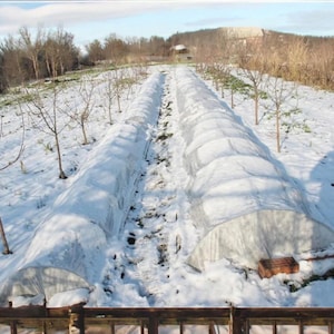 May include: An outdoor scene of a snowy field with two long, white-covered structures, likely for crop protection. Bare trees line the sides, and a building is visible in the distance. The ground is covered in snow.