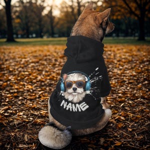 Custom Name Dog Hoodie - Personalized Pet Sweatshirt with Cool DJ Design - Small Medium Large XL Dog Clothes Gift