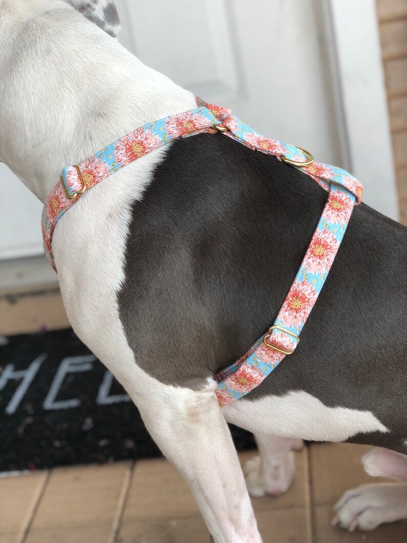 Peach Dog Harness Adjustable Dog Harness Strap Dog Harness Etsy
