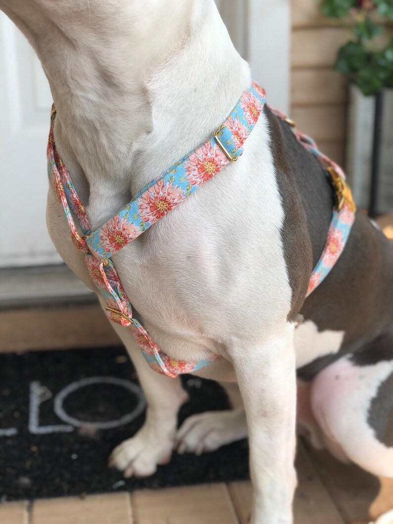 Peach Dog Harness Adjustable Dog Harness Strap Dog Harness Etsy