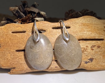 Petoskey Stone Earrings