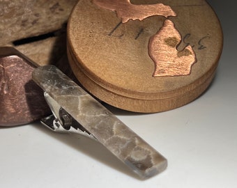 Petoskey Stone Tie Clip