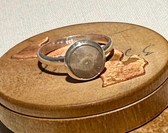 Petoskey Stone Sterling Silver Ring Size 7.25 - Michigan State Stone