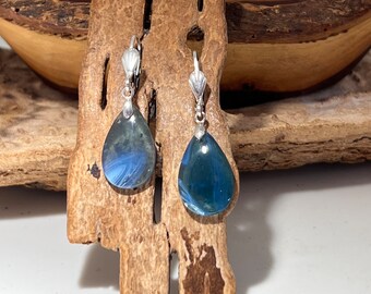 Leland Blue Earrings Sterling Silver Lever Back