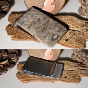 Petoskey Stone Money Clip