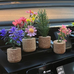 Difusor botánico para coche / Ambientador con aroma a flor de corcho, aceite esencial