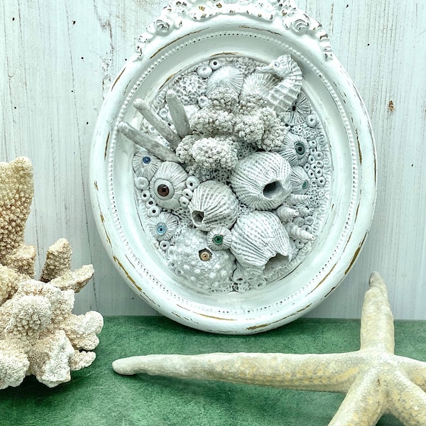 Coral Reef Wall Sculpture By CastawaysHall, Sculpted Clay Barnacles & Seahorse Plaque, Coastal Oddity and Curiosity Art at CastawaysHall