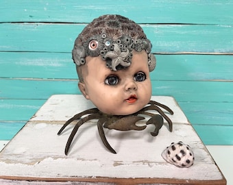 Doll Head Oddity Assemblage Crab Doll, Odd Beach House Sculpture With Real  Coral, Weird Folk Art For The Oddities Lover by CastawaysHall