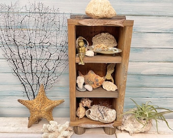 Rustic Recycled Wooden Curiosity Shelf, Niche Shrine With Carved Wooden Fish Motif, Curio Cupboard For Oddity Collections at CastawaysHall