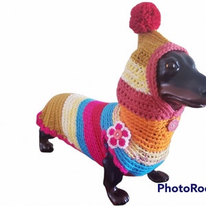 Doxie multi color sweater. Hand made.
