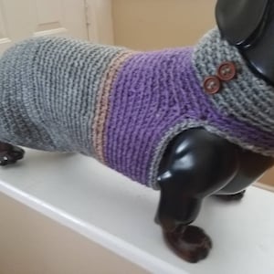 Doxie handmade sweater.