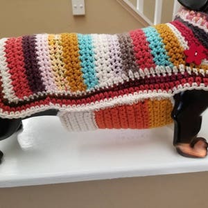 Doxie multi color sweater. Hand made.