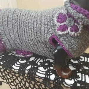 Cute doxie sweater. Hand made special for your dog. Free hat