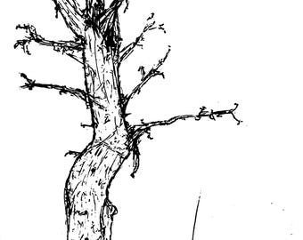 árbol en el vacío