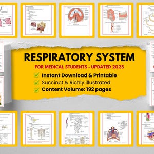 May include: A medical educational resource titled "RESPIRATORY SYSTEM" for medical students, updated for 2025. The image features detailed anatomical illustrations of the respiratory system, with the text indicating it is an instant download, printable, and richly illustrated, with a content volume of 192 pages.