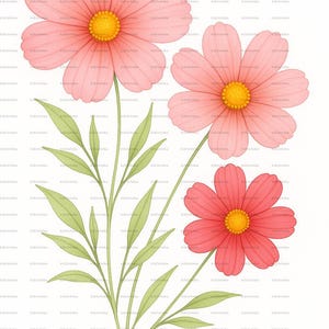 10 fiori di campo luminosi e bellissimi