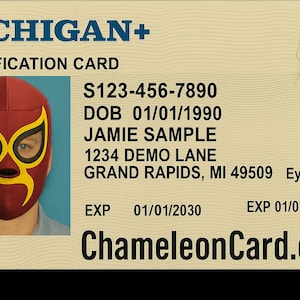 ChameleonCard, idea regalo divertente: 15 carte identificative sovrapposte e fogli di adesivi per travestimenti