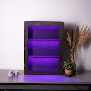 Vitrina LED, vitrina con estantes, vitrina con puerta de cristal, estante para coleccionables, estantería expositora