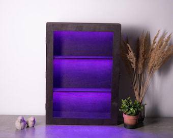 Led Display Case, Display case cabinet with shelves, Display cabinet with glass door, Display shelf for collectibles, Display shelf case