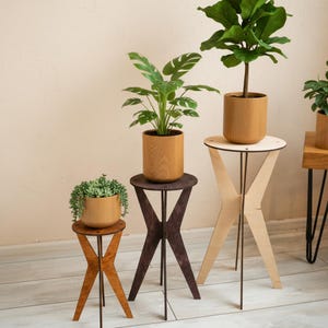 Puede incluir: Una colección de soportes para plantas de madera en varias alturas y acabados. Los soportes tienen una parte superior circular y una base en forma de X con patas de metal. Las plantas están en macetas de madera. Los soportes son en tonos marrones y madera natural.