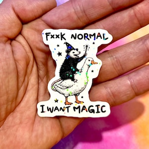 Może przedstawiać: Naklejka z napisem "Fxxk Normal I Want Magic". Naklejka przedstawia czarnego oposa w kapeluszu czarodzieja jadącego na białej gęsi. Opos trzyma różdżkę, a wokół są akcenty w kształcie gwiazd.