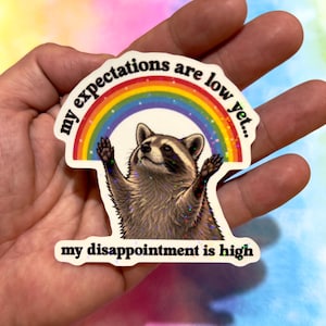 Puede incluir: Una pegatina troquelada que muestra un mapache marrón y gris con las patas levantadas bajo un arcoíris colorido. El texto dice "my expectations are low yet..." sobre el mapache y "my disappointment is high" debajo en letra negra.