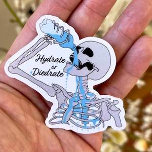 Hydrate oder Diedrate Aufkleber, Skelett Aufkleber, Halloween Aufkleber, Trinken Sie Ihr Wasser, Hydratationserinnerung, Aufkleber für psychische Gesundheit, Geschenk für sie