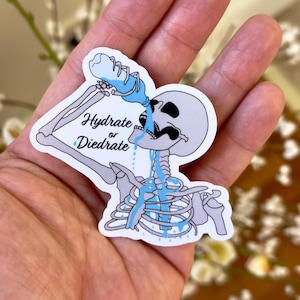 Adesivo de Hidratação ou Dieta, Adesivo de Esqueleto, Adesivo de Halloween, Beba água, Lembrete de hidratação, Adesivo de saúde mental, Duende da água