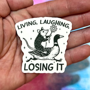Sticker Opossum drôle - Humour sarcastique sur la santé mentale, Oie idiote, Vivre de rire, Perdre sa vie, Snarky, Agenda, Cahier