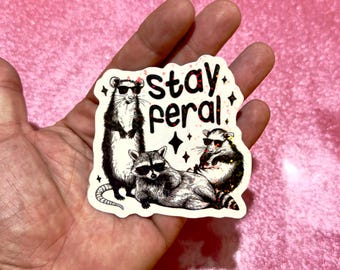 Stay Feral, divertida pegatina de mapache y zarigüeya, divertido meme de moda, humor sarcástico sobre salud mental, pegatina irónica, agenda, cuaderno