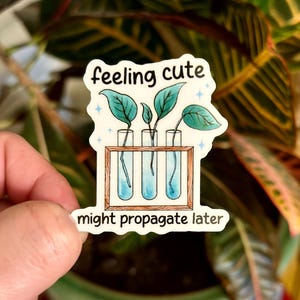 May include: A white sticker with the text "feeling cute" and "might propagate later". The sticker features a drawing of three test tubes with plants inside a wooden frame. The plants have green leaves and blue water.