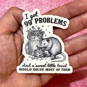 I’ve got 99 problems, Funny opossum sticker, Funny Trendy Sticker, Sarcastic Mental Health Humor, snarky sticker, funny planner sticker,