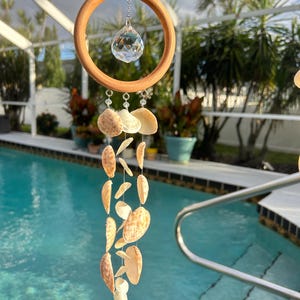 May include: A hanging seashell wind chime with a wooden ring and a faceted crystal. The chime features various sizes of seashells strung together, creating a coastal aesthetic. The crystal hangs from a chain within the wooden ring.