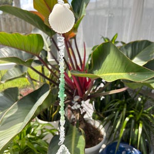 Peut inclure: Un carillon éolien suspendu avec un coquillage blanc, des perles transparentes et vertes, et un pendentif en cristal facetté. Le carillon est suspendu devant des plantes vertes luxuriantes, créant une esthétique naturelle et côtière.